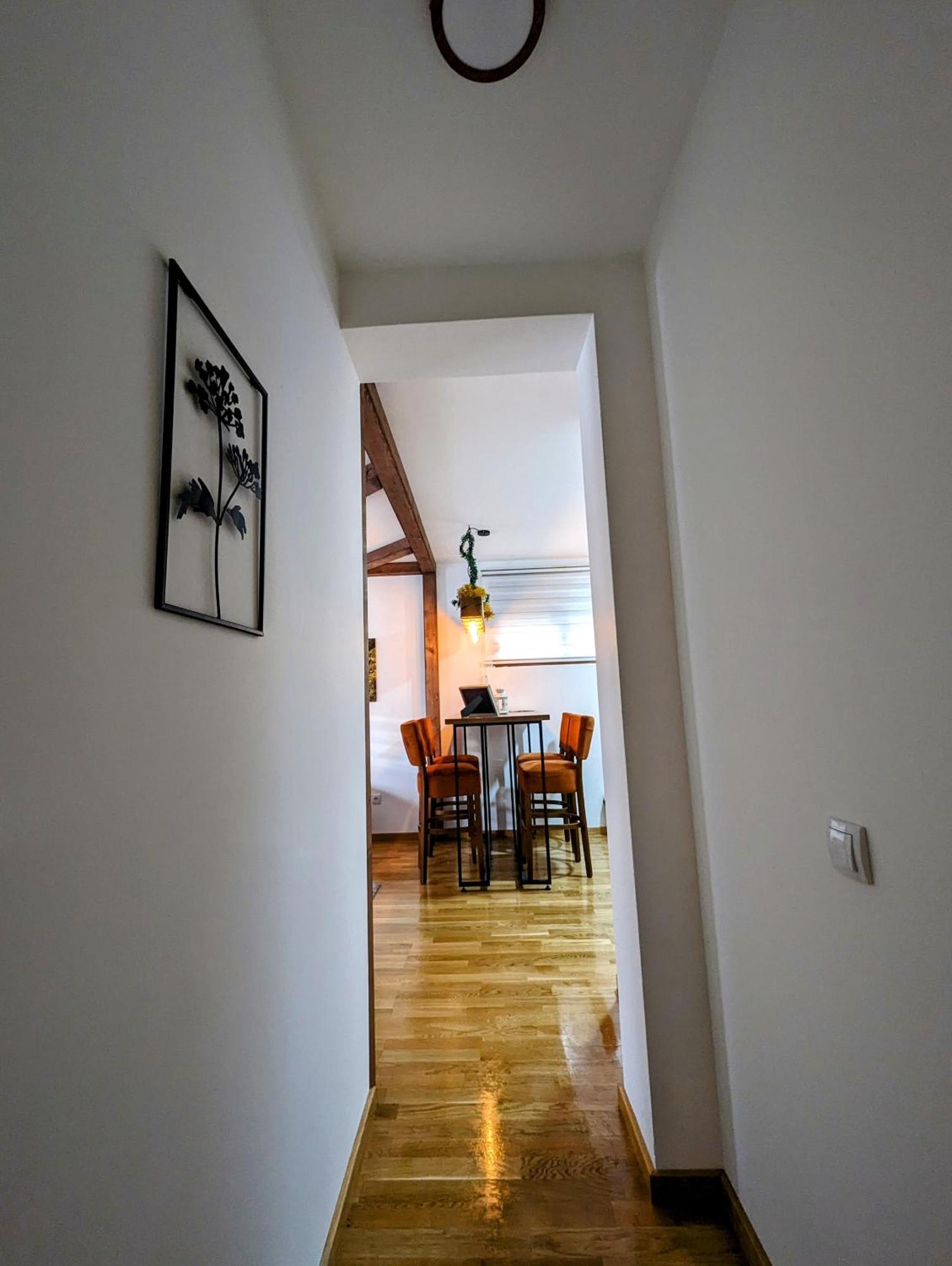 Zlatiborske Noci Daire Dış mekan fotoğraf